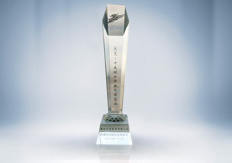 十大对外开放先锋企业