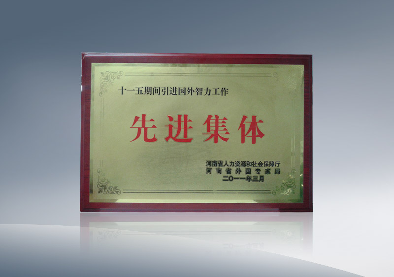 引进国外智力工作先进集体
